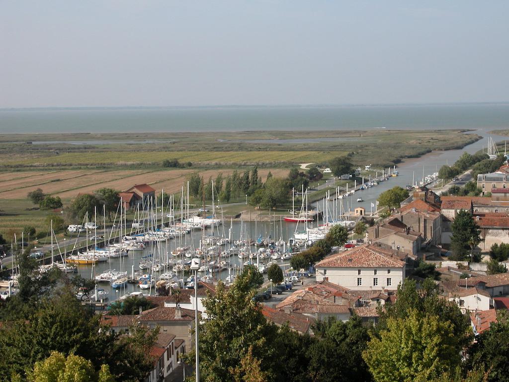 Chambres D'Hotes La Rive Mortagne-sur-Gironde Esterno foto